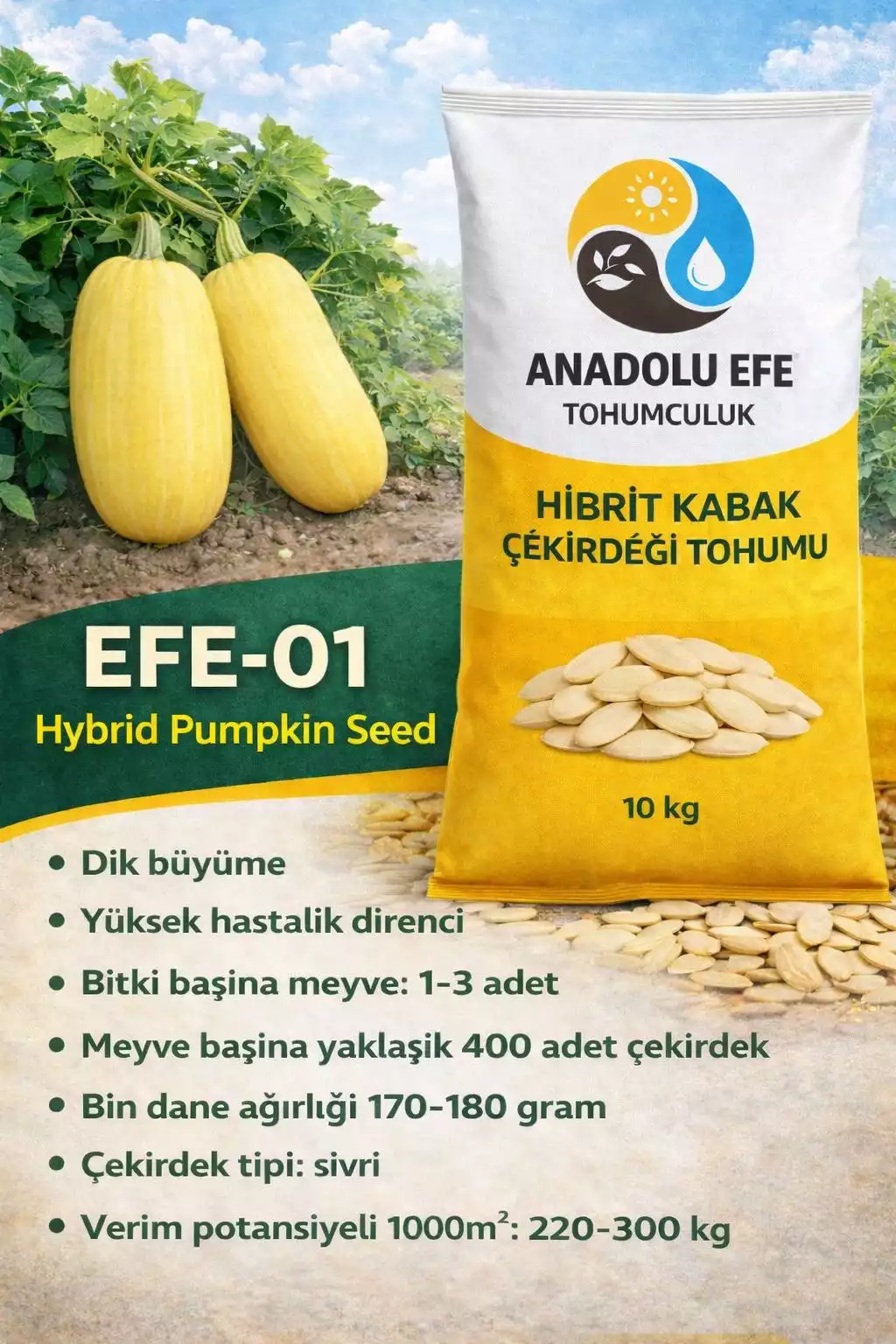 EFE-01